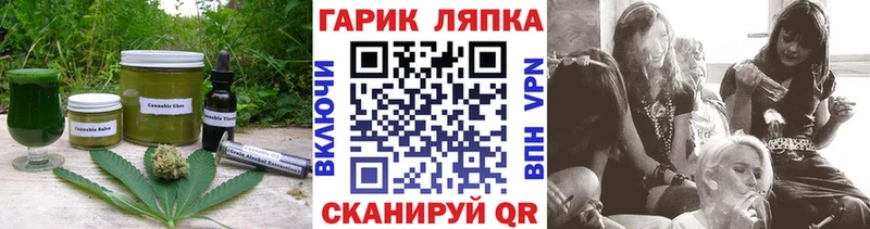 Canna-Cookies марихуана  Купить закладки  Новодвинск 