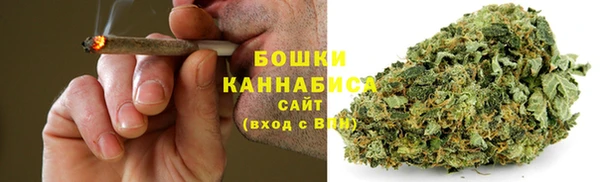 крисы Костерёво