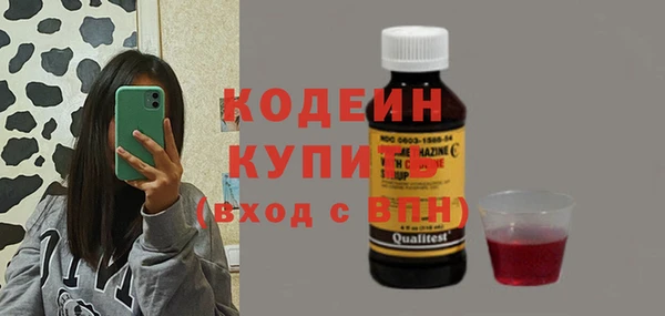 крисы Костерёво