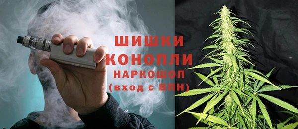 крисы Костерёво