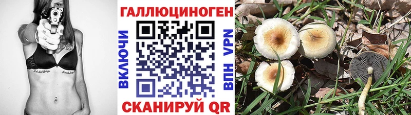 Купить где  Новодвинск  Псилоцибиновые грибы MAGIC MUSHROOMS 